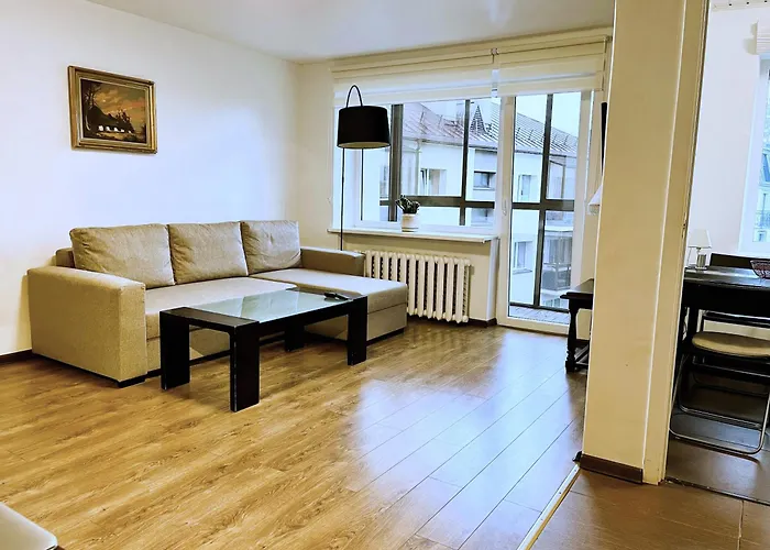 Apartment In The City Center